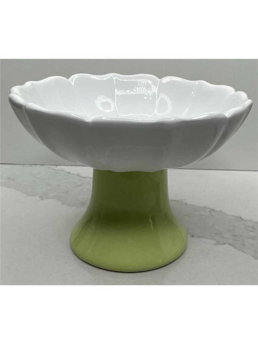 Rockybear Pet Ceramic Elevated Pet Food Bowl - Green & White Floral - NEW!